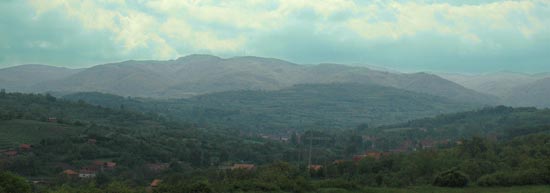 Селичевица